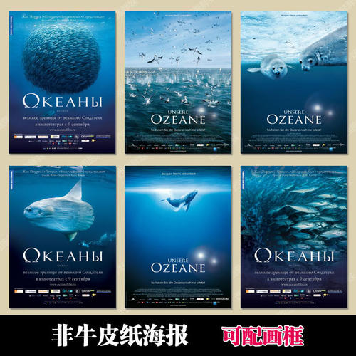 临沂不动产证明在哪里开